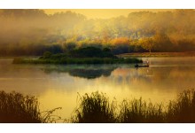 CAT TIEN NATIONAL PARK DAILY TOUR AND 1 DAY 1 NIGHT, 2 DYAS 1 NIGHT TOUR